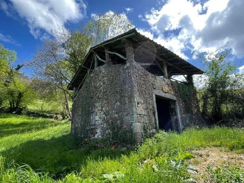First photo of the property