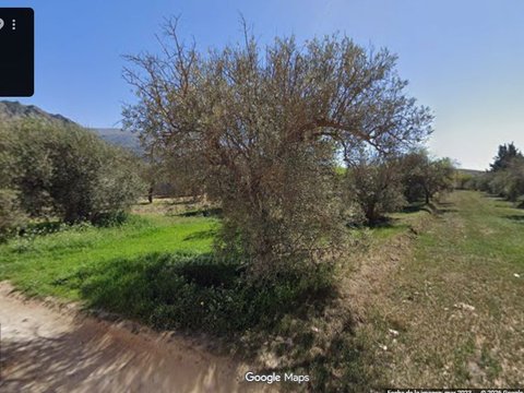 Primera foto del inmueble