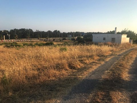 Перша фотографія об’єкта нерухомості