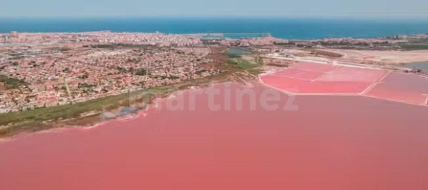 edificio en torrevieja · la-siesta---el-salado---torreta 3000000€