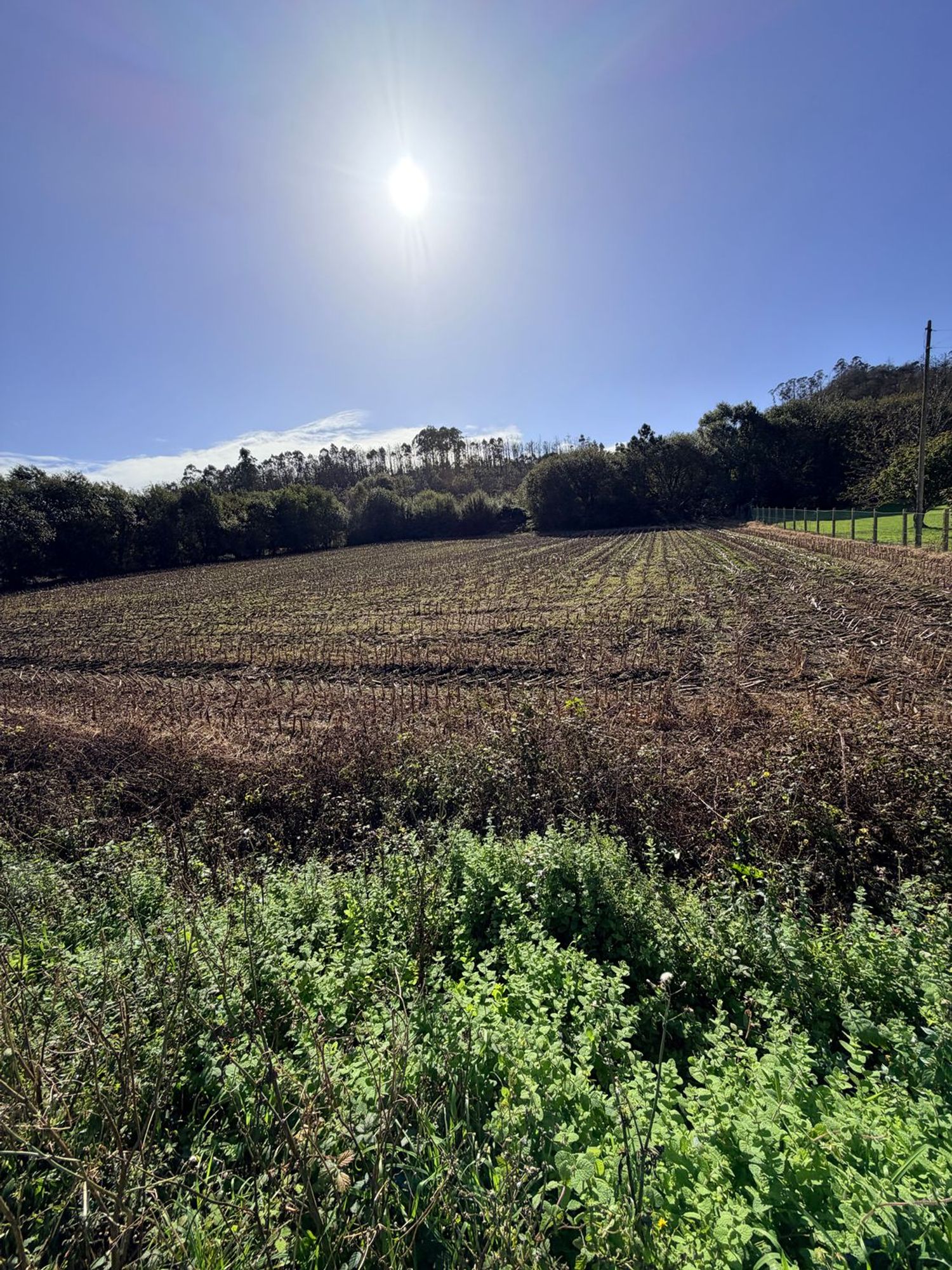 Suelo en venta, Querúas, Asturias