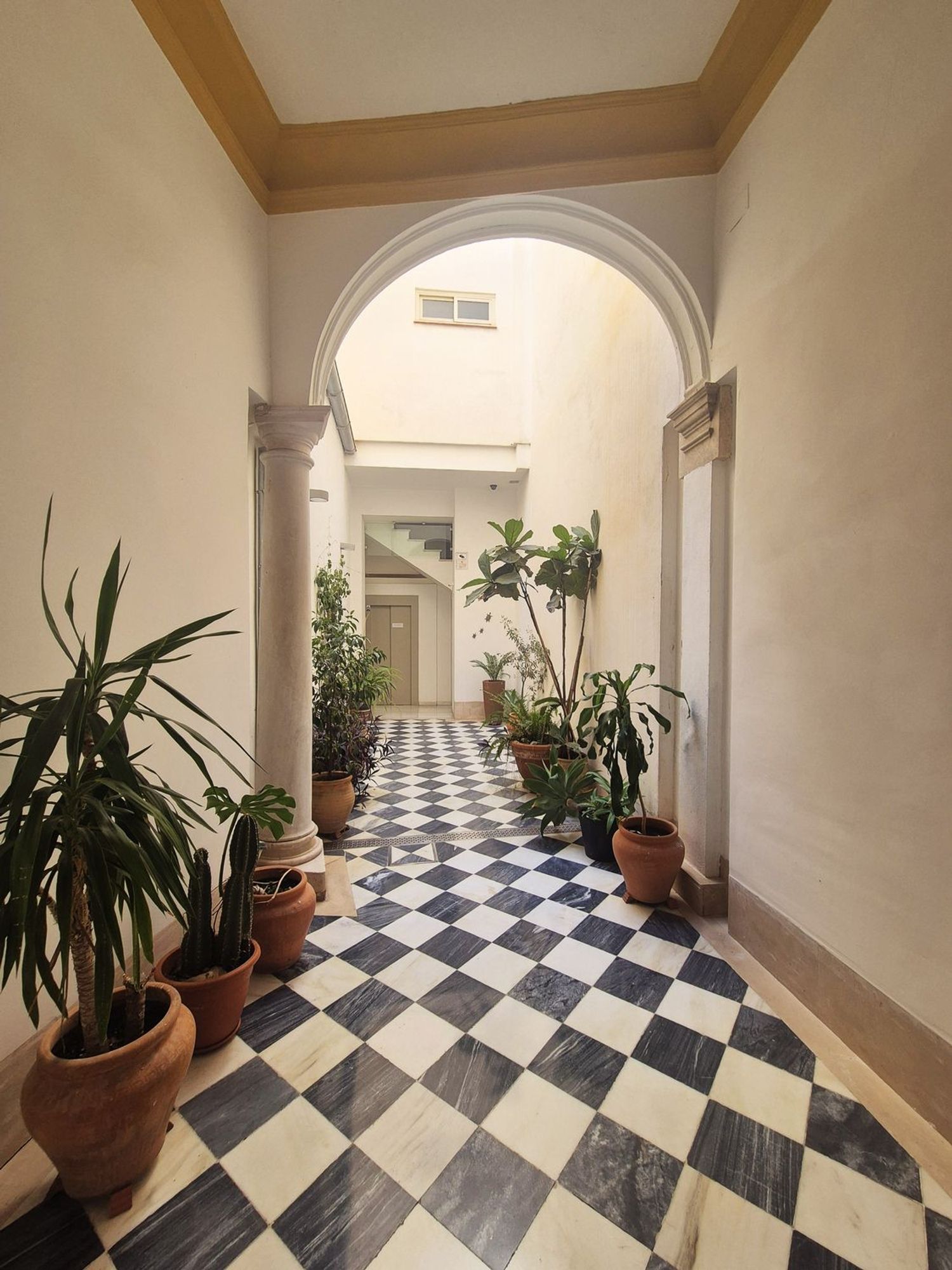 Piso · Malaga · 3 hab.