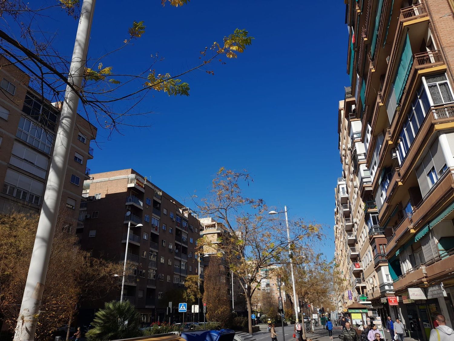 Venta de casas y pisos en Granada Granada