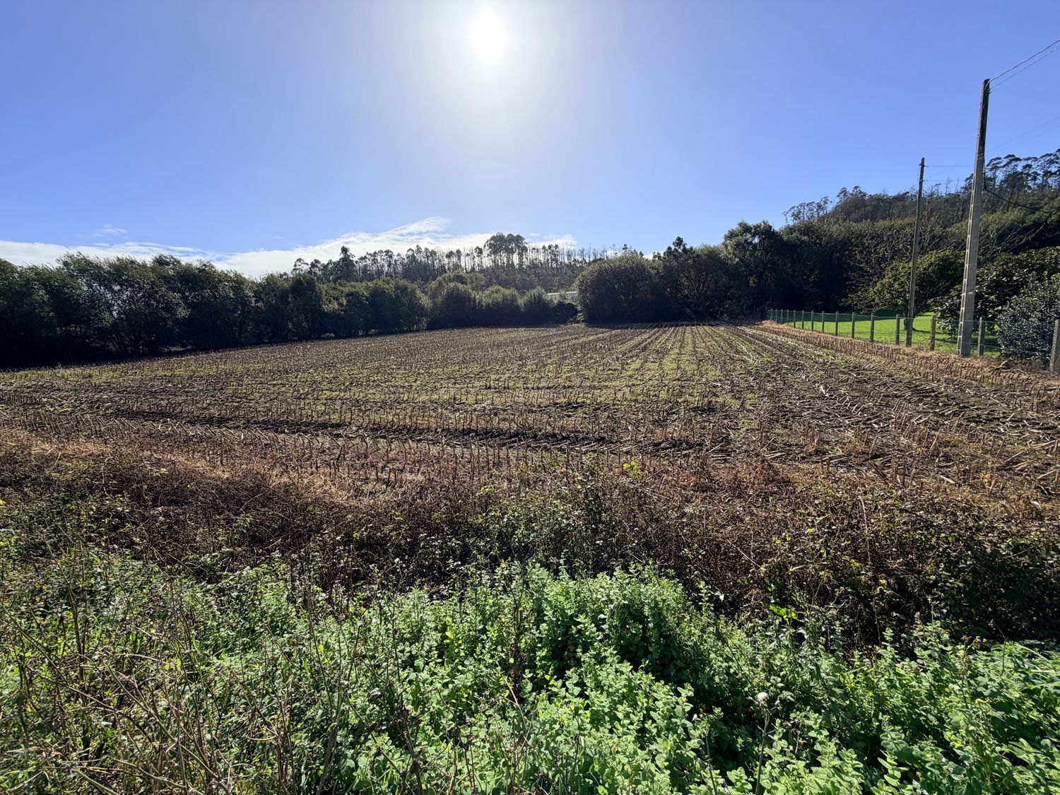 Suelo en venta, Querúas, Asturias