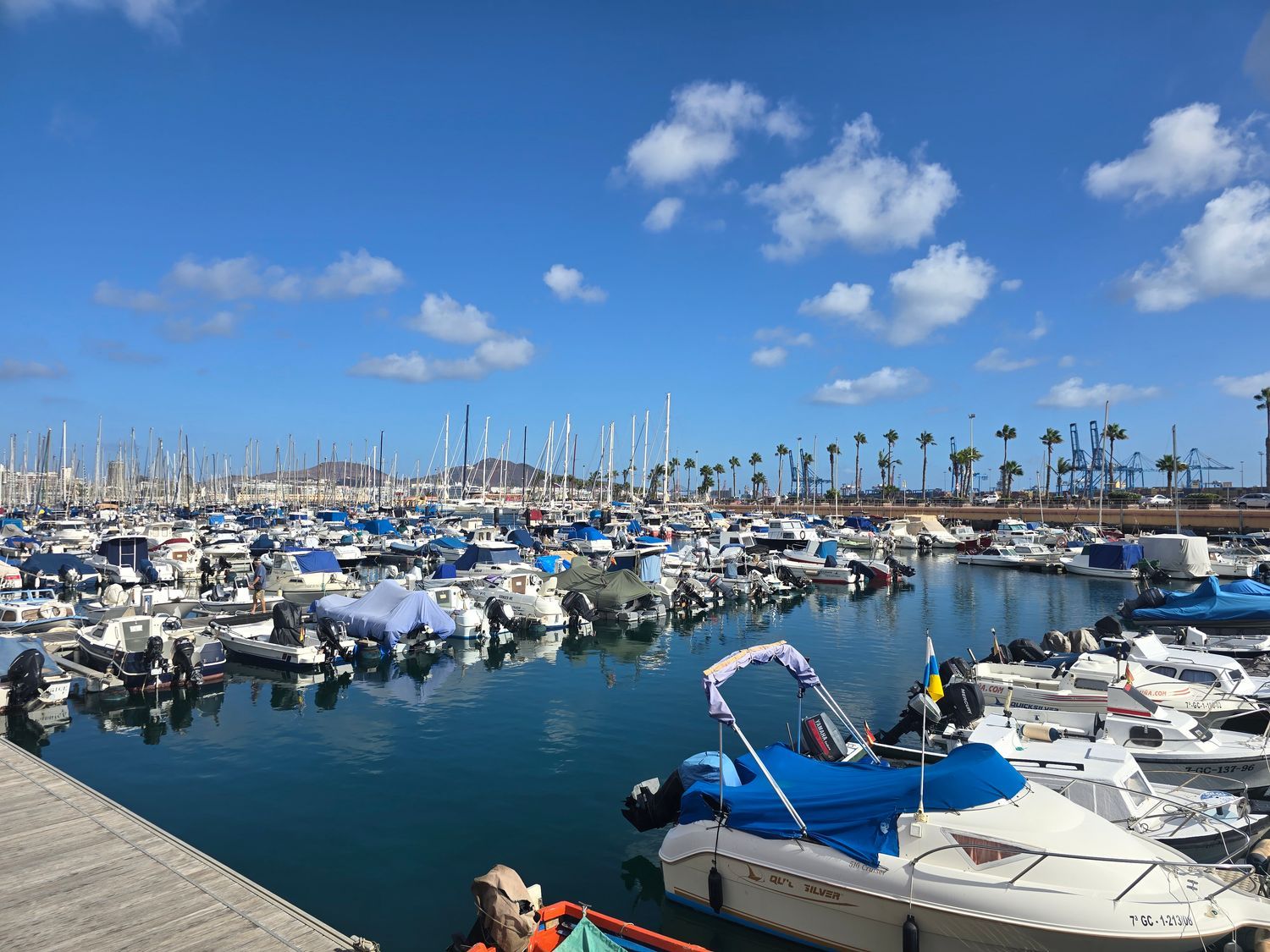 Local Comercial en alquiler, Las Palmas de Gran Canaria, Las Palmas