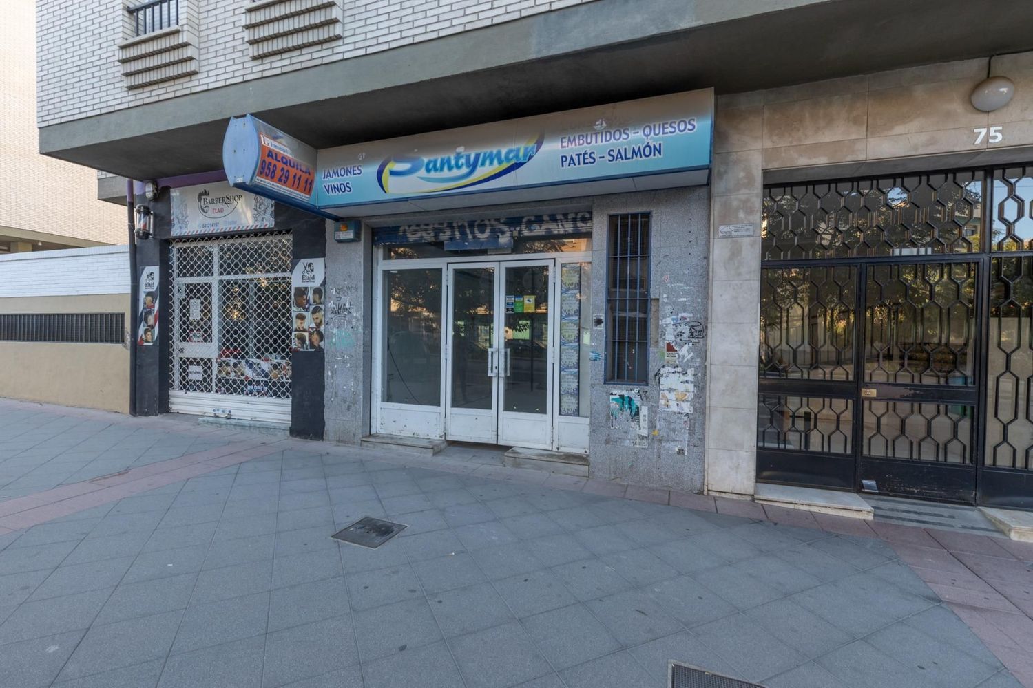 locales-comerciales en granada-capital · la-chana 110000€