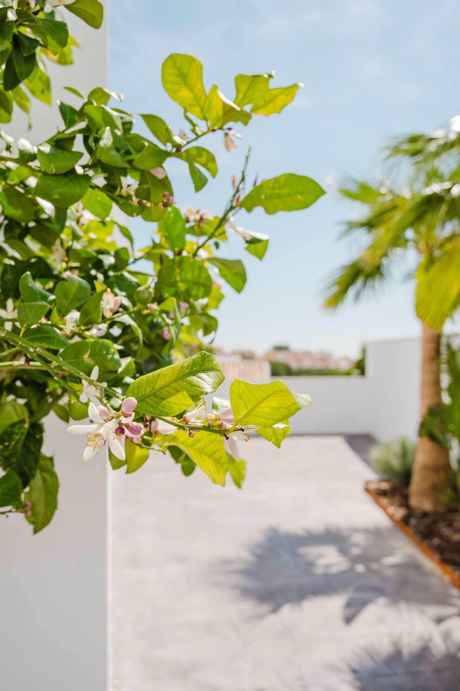 detached-housevilla en nerja · nueva-nerja 2450000€