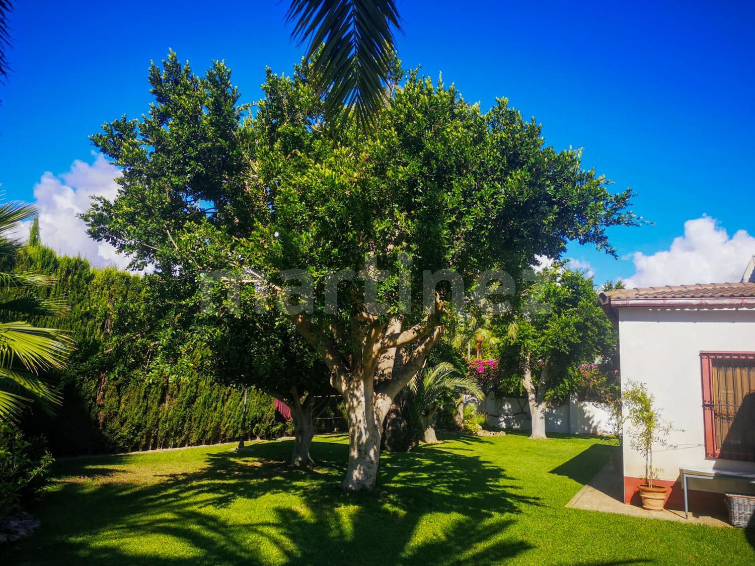 casa-o-chalet-independiente en san-juan-de-alicante · la-font---mezquitas 975000€