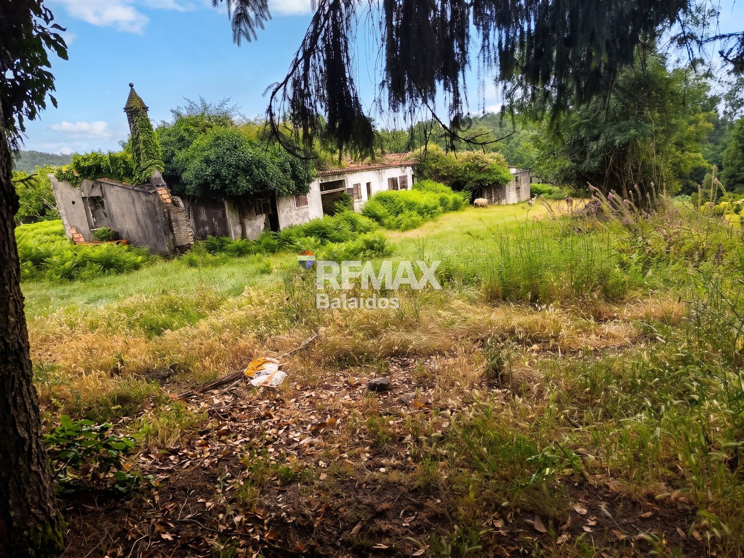 Suelo en venta, Vilasobroso, Pontevedra