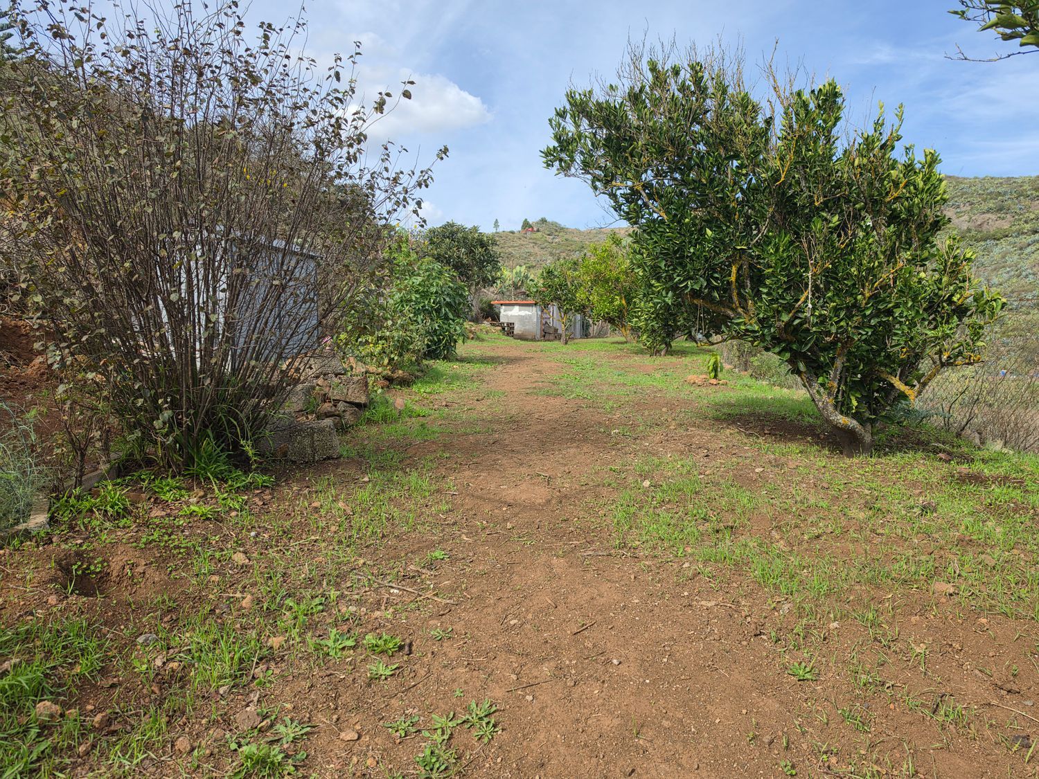 Casa rural en venta, Valle de San Roque, Las Palmas