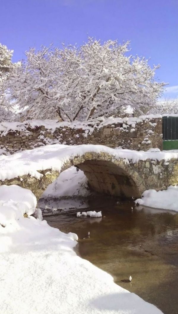 Finca rústica En Venta
