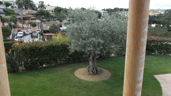 Casa/Chalet independiente En Venta