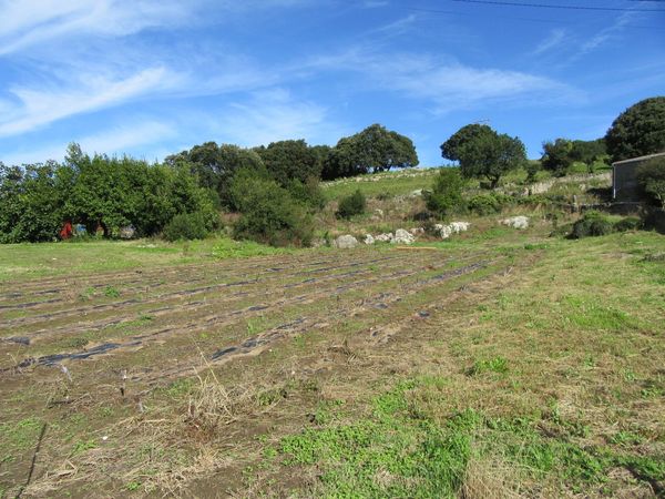 Terreno / Urbano (solar) En Venta