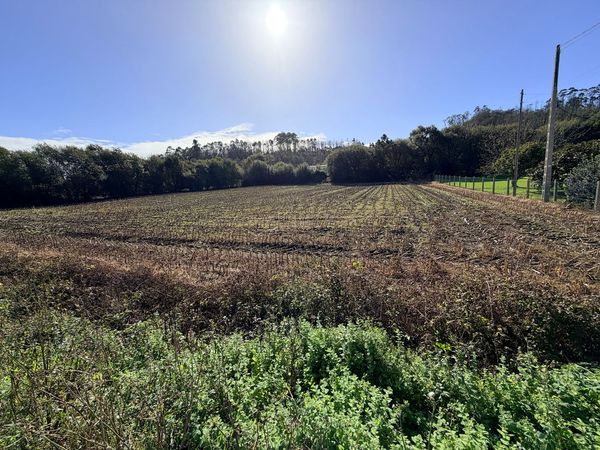 Terreno / Urbano (solar) En Venta
