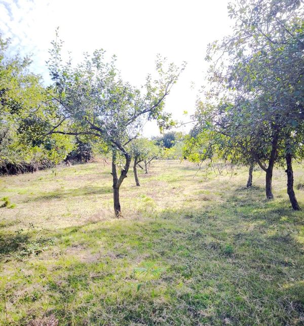 Terreno / Urbanizable En Venta