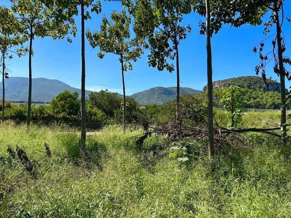 Terreno / No urbanizable En Venta