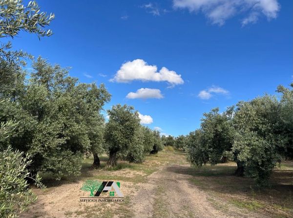 Terreno / No urbanizable En Venta