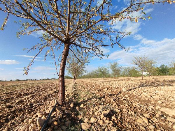 Terreno / No urbanizable En Venta