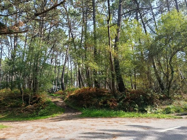Terreno / Urbanizable En Venta
