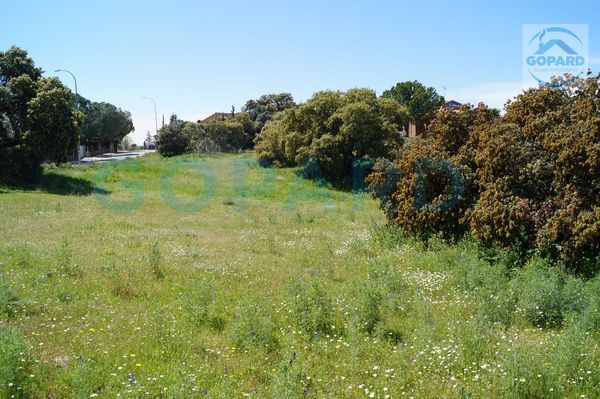 Terreno / Urbano (solar) En Venta