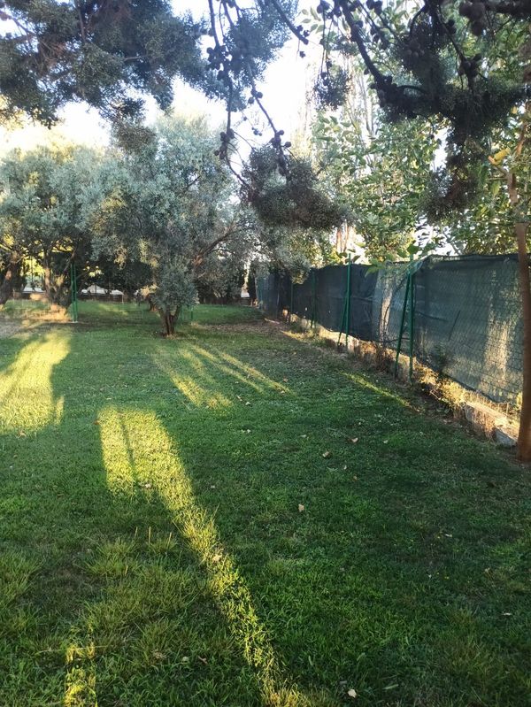 Finca rústica En Venta