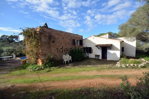 2-bedroom freehold villa in Palma — photo 4 of 5
