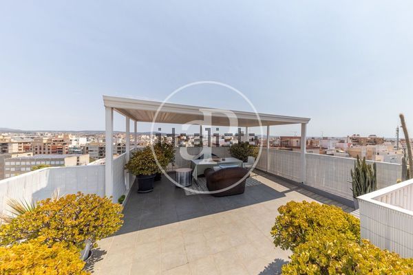 House in Calle de Francesc Fiol i Juan, Bons Aires, Palma de Mallorca — image 5