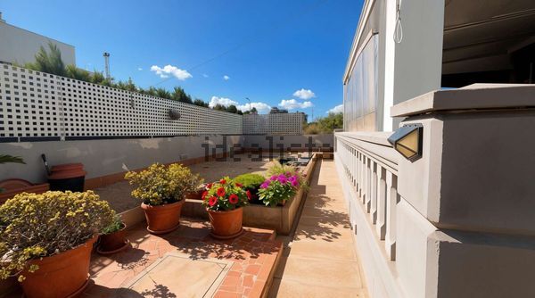 3-bedroom freehold villa in Palma — photo 3 of 5