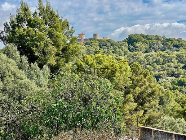 2-bedroom freehold villa in Palma — photo 2 of 5