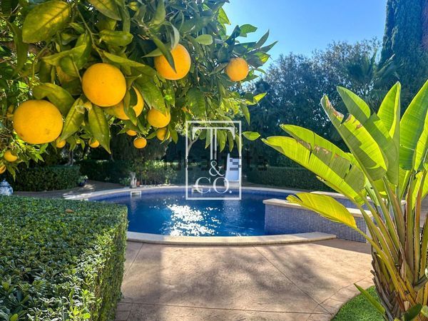 8-bedroom freehold villa in Palma — photo 5 of 5