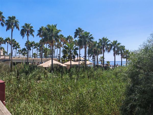 Detached house in Villacana - Costalita - Saladillo, Estepona — image 3