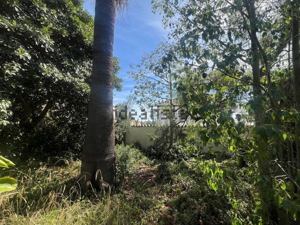 Detached house in Valdeolletas-Las Cancelas-Xarblanca, Marbella — image 5