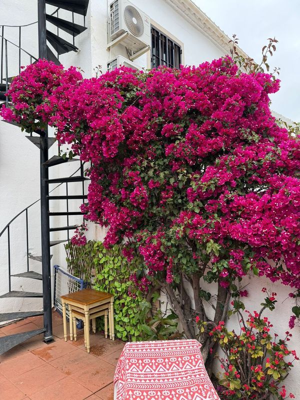 2-bedroom freehold villa in Marbella — photo 4 of 5