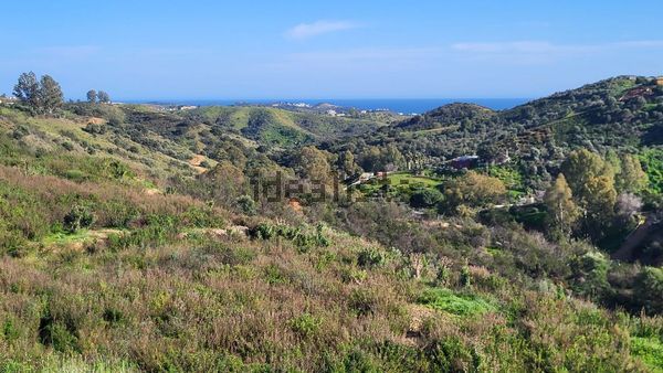6-bedroom freehold villa in Mijas — photo 4 of 5