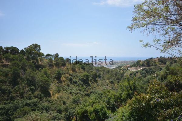 Estate in Camino del Cisne Nn, Altos de Estepona, Estepona — image 3