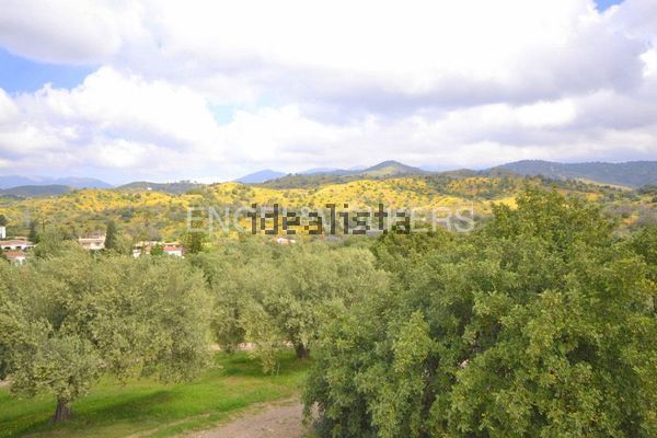 4-bedroom freehold villa in Marbella — photo 4 of 5