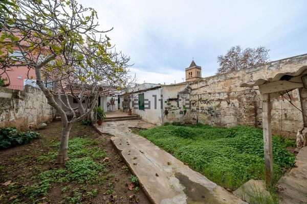 3-bedroom freehold villa in Palma — photo 2 of 5