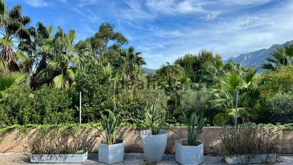 Detached house in Camino de son Pons, 6, Soller — image 3