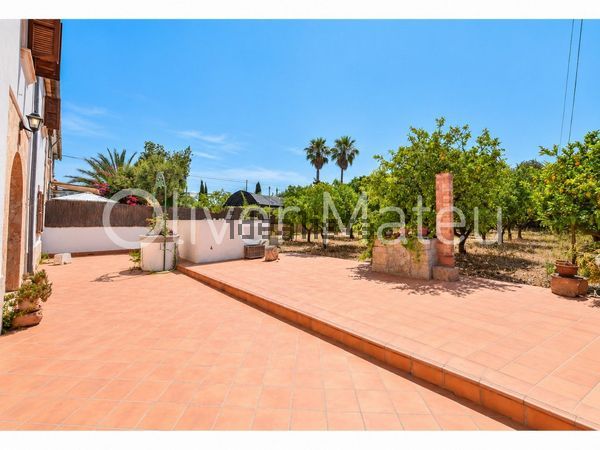 Detached house in Establiments, Palma de Mallorca — image 5