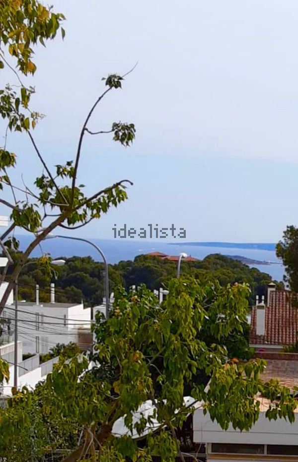 4-bedroom freehold villa in Palma — photo 3 of 5