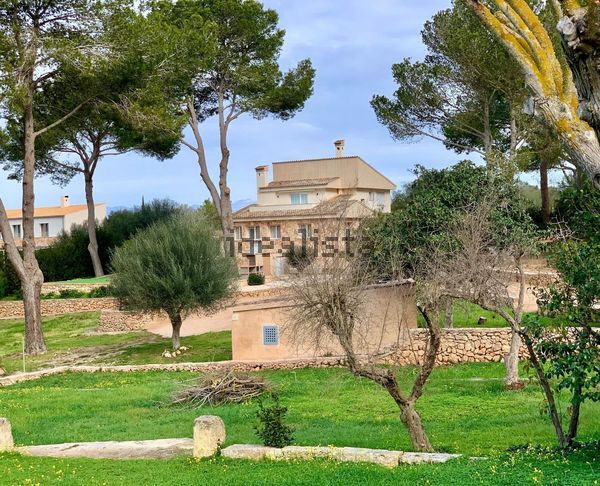 Detached house in S'Aranjassa - Es Pil.larí, Palma de Mallorca — image 3