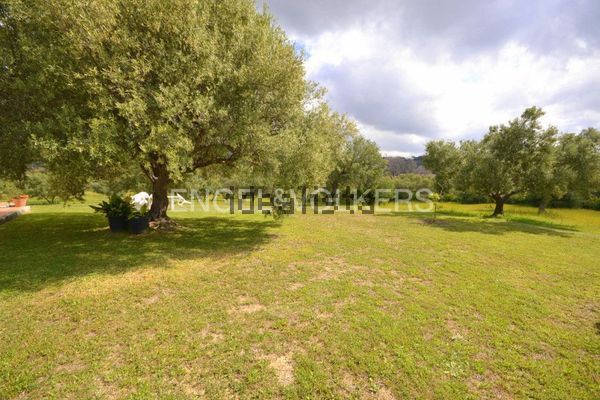 4-bedroom freehold villa in Marbella — photo 3 of 5