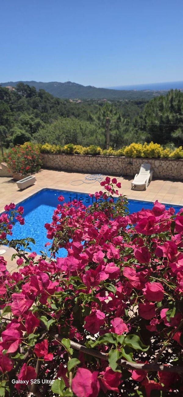 Detached house in Camino Vial, Lloret Blau - La Creu de Lloret, Lloret de Mar — image 5