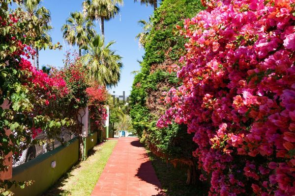 Terraced house in Nueva Atalaya, Estepona — image 3