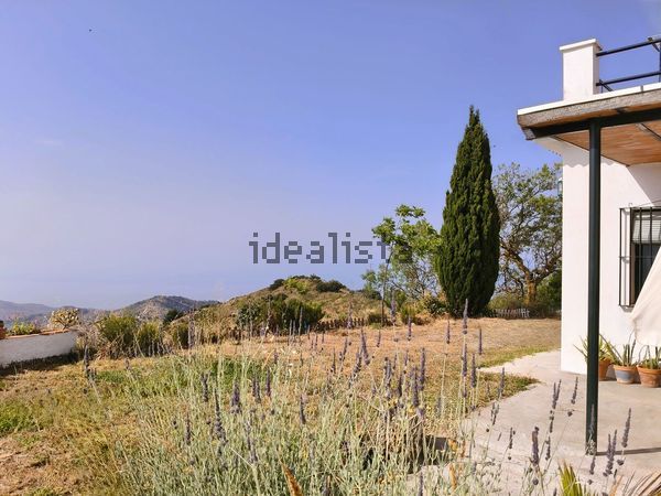 3-bedroom freehold villa in Málaga — photo 4 of 5