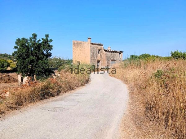 Estate in Poligono Poligon, Manacor Centro, Manacor — image 3
