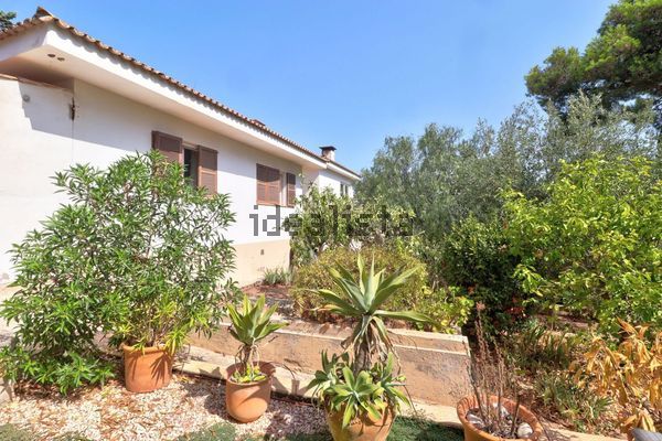 3-bedroom freehold villa in Calvià — photo 4 of 5