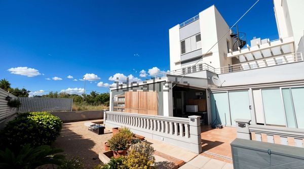 3-bedroom freehold villa in Palma — photo 1 of 5