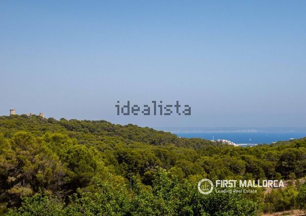 4-bedroom freehold villa in Palma — photo 1 of 5