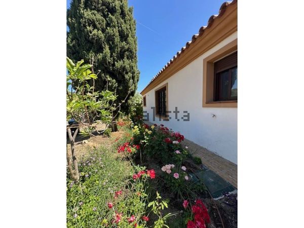 2-bedroom freehold villa in Estepona — photo 3 of 5